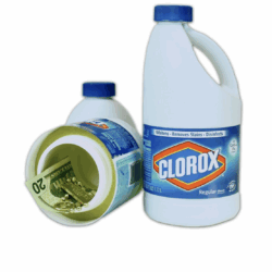 Clorox Bleach Bottle Stasher